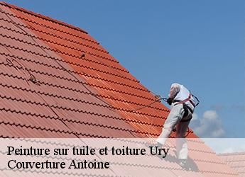 Peinture sur tuile et toiture  ury-77760 Couverture Antoine