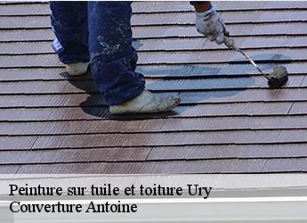 Peinture sur tuile et toiture  77760