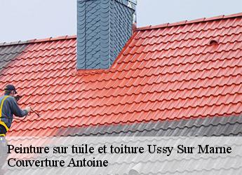 Peinture sur tuile et toiture