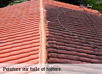 Peinture sur tuile et toiture