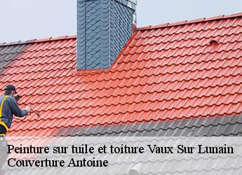 Peinture sur tuile et toiture
