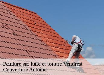 Peinture sur tuile et toiture  vendrest-77440 Couverture Antoine