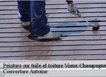 Peinture sur tuile et toiture  77370