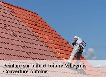 Peinture sur tuile et toiture  villegruis-77560 Couverture Antoine