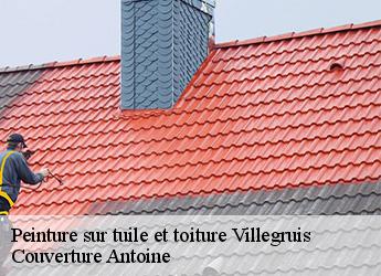 Peinture sur tuile et toiture