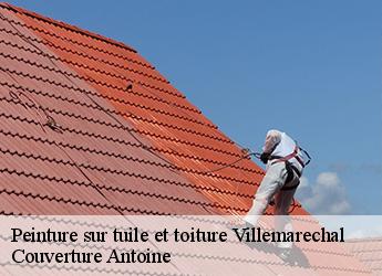 Peinture sur tuile et toiture  villemarechal-77710 Couverture Antoine