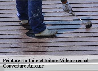 Peinture sur tuile et toiture  77710