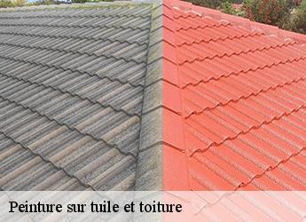 Peinture sur tuile et toiture