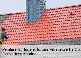 Peinture sur tuile et toiture