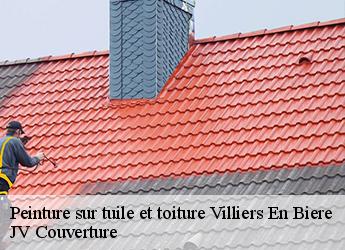 Peinture sur tuile et toiture villiers-en-biere-77190 JV Couverture