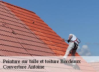Peinture sur tuile et toiture  bordeaux-77410 Couverture Antoine