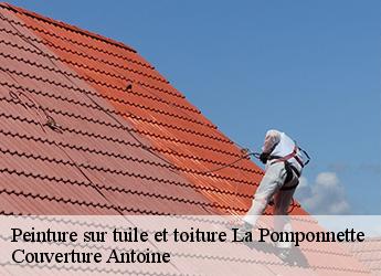 Peinture sur tuile et toiture  la-pomponnette-77400 Couverture Antoine