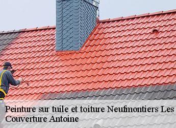 Peinture sur tuile et toiture