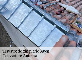 Travaux de zinguerie