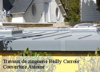 Travaux de zinguerie  77720