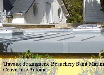 Travaux de zinguerie  77560