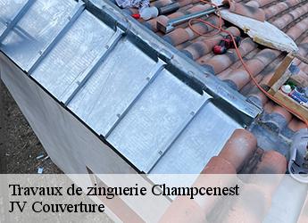 Travaux de zinguerie