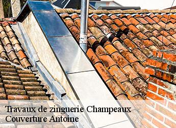 Travaux de zinguerie  champeaux-77720 Couverture Antoine