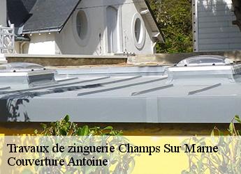 Travaux de zinguerie  77420