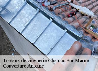 Travaux de zinguerie