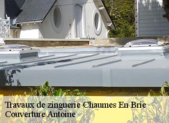 Travaux de zinguerie  77390