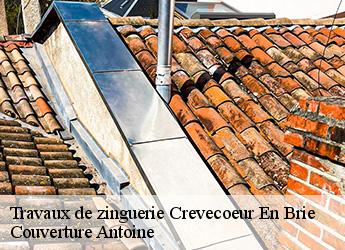 Travaux de zinguerie  crevecoeur-en-brie-77610 Couverture Antoine
