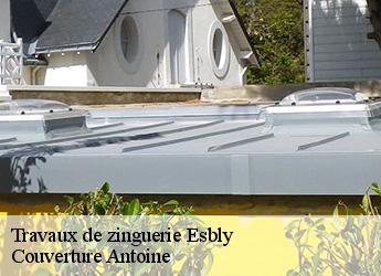 Travaux de zinguerie  77450