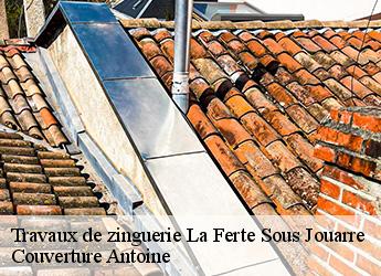 Travaux de zinguerie  la-ferte-sous-jouarre-77260 Couverture Antoine
