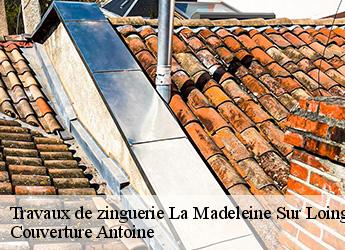 Travaux de zinguerie  la-madeleine-sur-loing-77570 Couverture Antoine