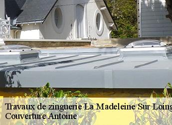 Travaux de zinguerie  77570