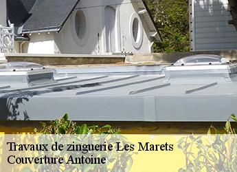 Travaux de zinguerie  77560