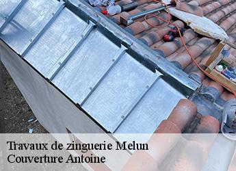 Travaux de zinguerie