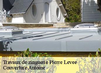 Travaux de zinguerie  77580