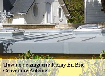 Travaux de zinguerie  77540