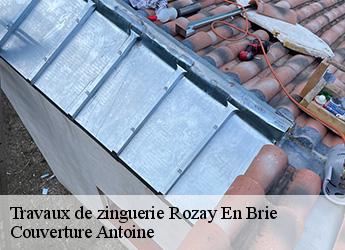 Travaux de zinguerie