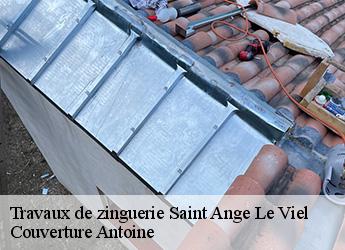 Travaux de zinguerie