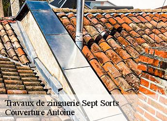 Travaux de zinguerie  sept-sorts-77260 Couverture Antoine