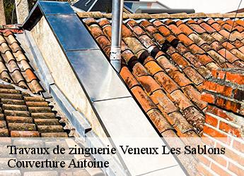 Travaux de zinguerie  veneux-les-sablons-77250 Couverture Antoine