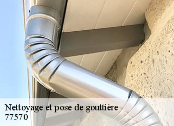 Nettoyage et pose de gouttière  77570