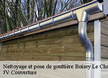 Nettoyage et pose de gouttière  77169