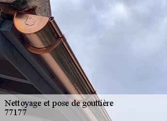 Nettoyage et pose de gouttière  77177