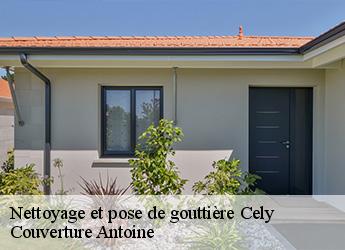 Nettoyage et pose de gouttière