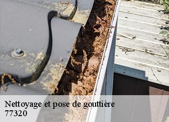 Nettoyage et pose de gouttière  77320