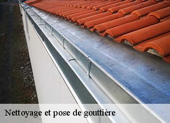 Nettoyage et pose de gouttière