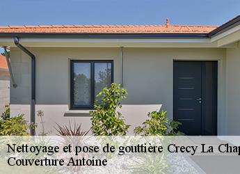Nettoyage et pose de gouttière