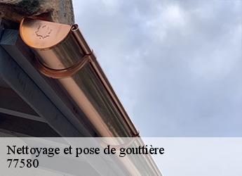 Nettoyage et pose de gouttière 77580