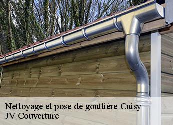 Nettoyage et pose de gouttière 77165