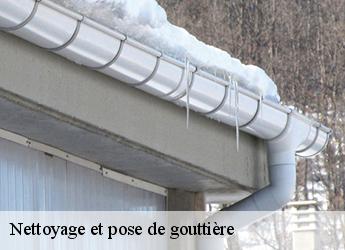 Nettoyage et pose de gouttière