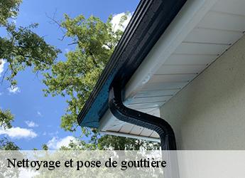 Nettoyage et pose de gouttière