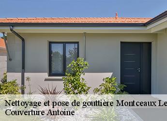 Nettoyage et pose de gouttière